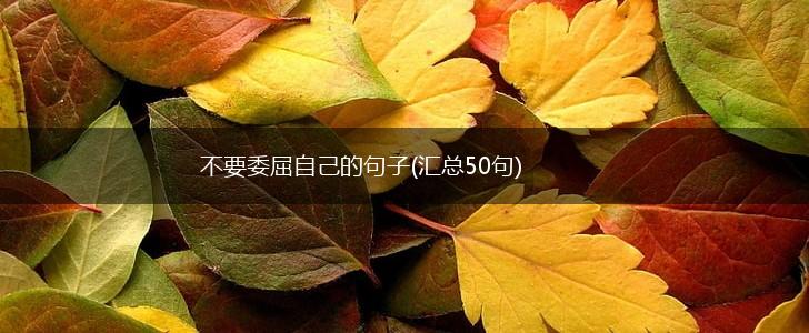 不要委屈自己的句子(汇总50句),第1张