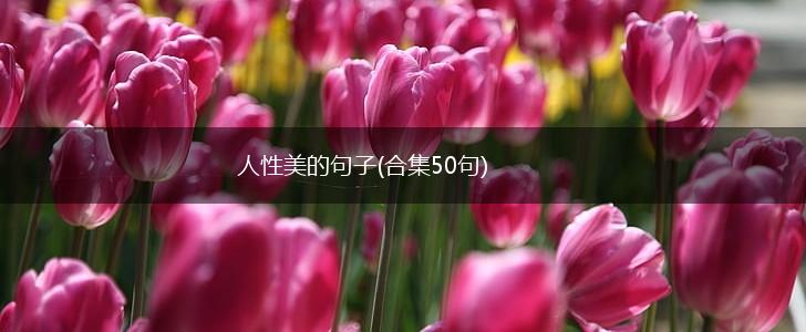 人性美的句子(合集50句),第1张