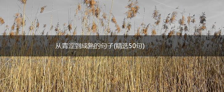 从青涩到成熟的句子(精选50句),第1张