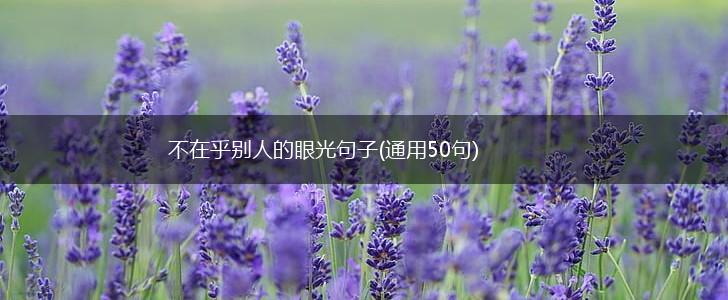 不在乎别人的眼光句子(通用50句),第1张