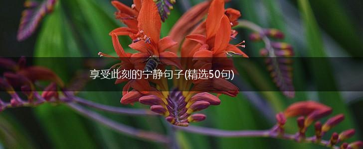 享受此刻的宁静句子(精选50句),第1张