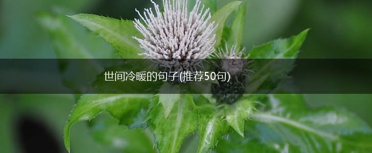 世间冷暖的句子(推荐50句),第1张 世间冷暖的句子(推荐50句),第1张