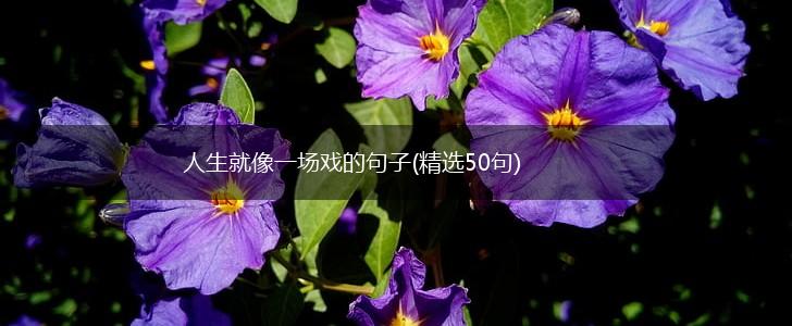 人生就像一场戏的句子(精选50句),第1张