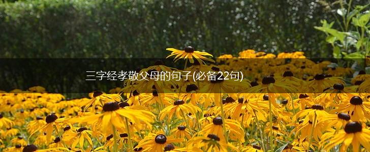 三字经孝敬父母的句子(必备22句),第1张