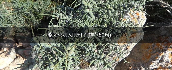 不能强求别人的句子(推荐50句),第1张