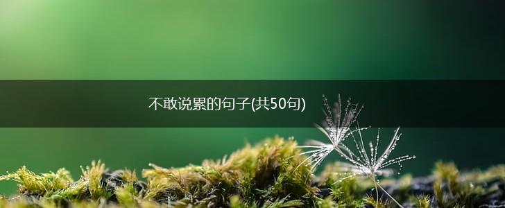 不敢说累的句子(共50句),第1张