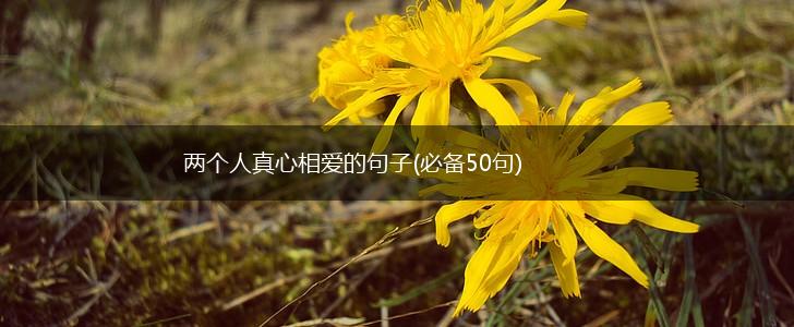 两个人真心相爱的句子(必备50句),第1张