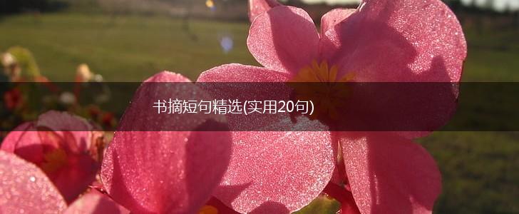 书摘短句精选(实用20句),第1张