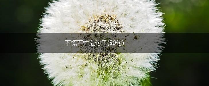 不慌不忙造句子(50句),第1张