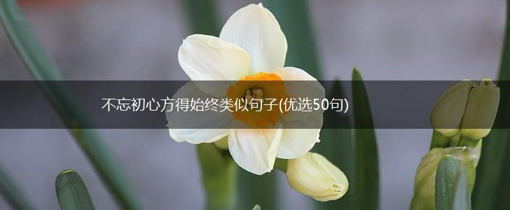 不忘初心方得始终类似句子(优选50句),第1张