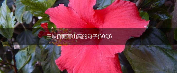 三峡侧面写山高的句子(50句),第1张