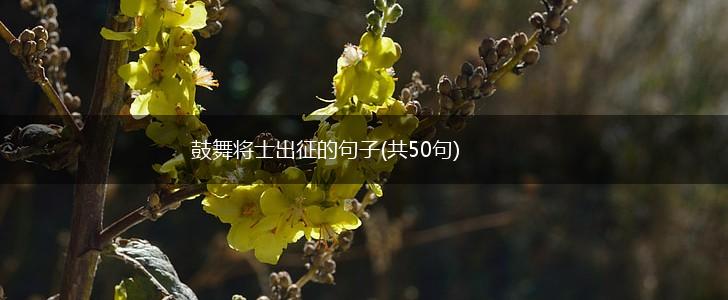 鼓舞将士出征的句子(共50句),第1张