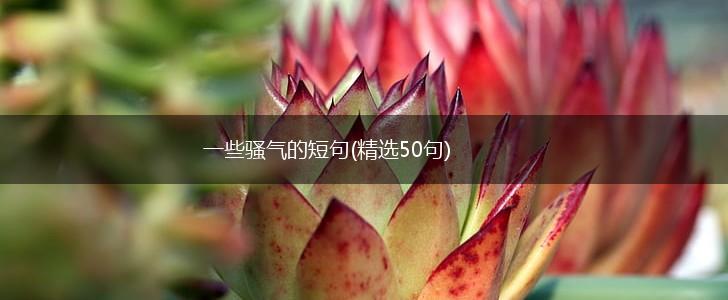 一些骚气的短句(精选50句),第1张