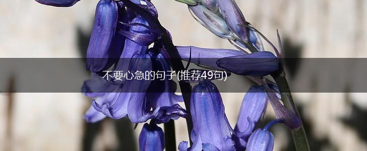 不要心急的句子(推荐49句),第1张
