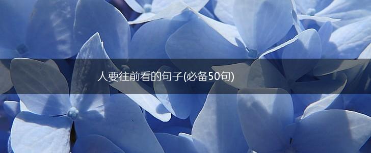 人要往前看的句子(必备50句),第1张