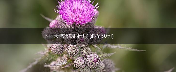 下雨天吃火锅的句子(必备50句),第1张