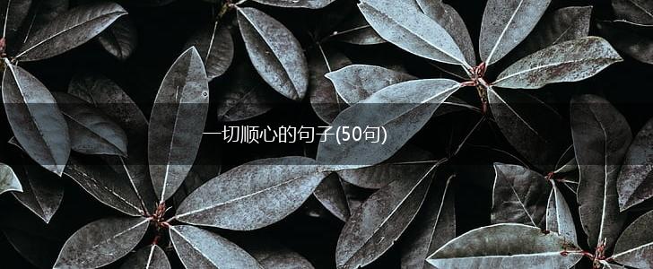 一切顺心的句子(50句),第1张 一切顺心的句子(50句),第1张