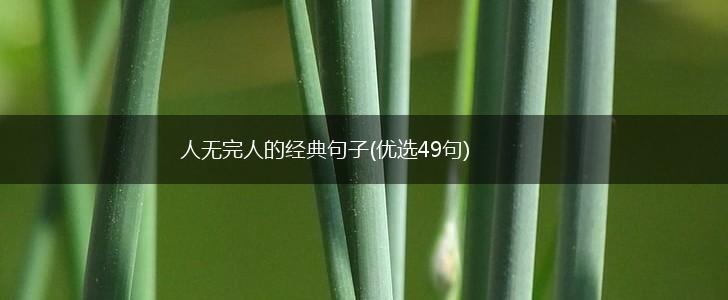 人无完人的经典句子(优选49句),第1张