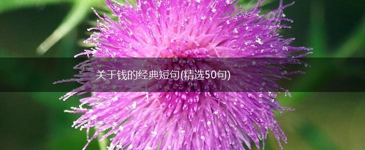 关于钱的经典短句(精选50句),第1张