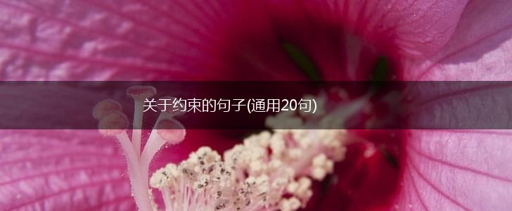 关于约束的句子(通用20句),第1张