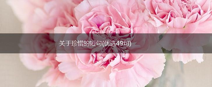 关于珍惜的短句(优选49句),第1张