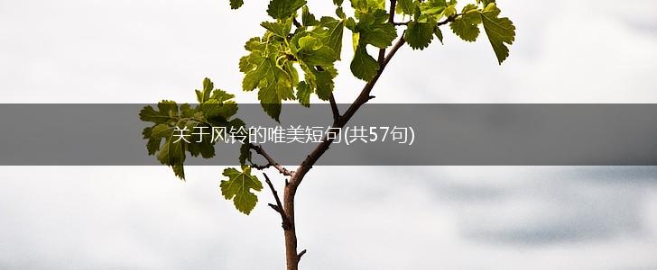 关于风铃的唯美短句(共57句),第1张