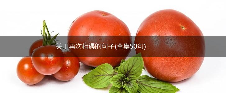 关于再次相遇的句子(合集50句),第1张