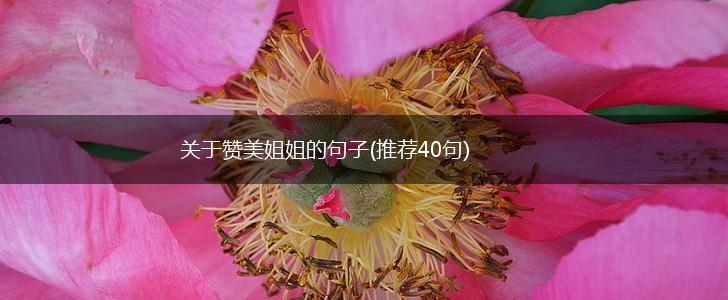 关于赞美姐姐的句子(推荐40句),第1张