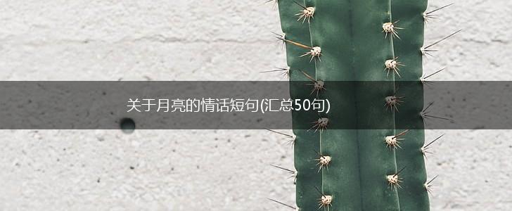 关于月亮的情话短句(汇总50句),第1张