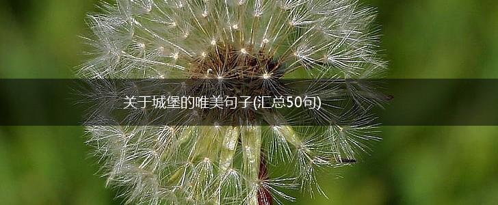 关于城堡的唯美句子(汇总50句),第1张