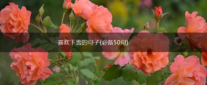 喜欢下雪的句子(必备50句),第1张