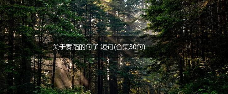 关于舞蹈的句子 短句(合集30句),第1张