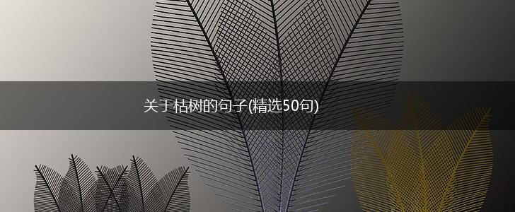 关于枯树的句子(精选50句),第1张