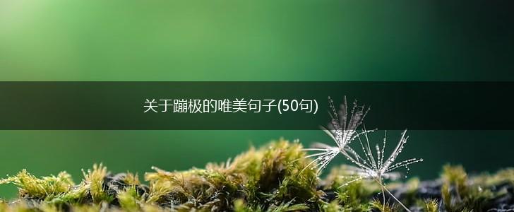 关于蹦极的唯美句子(50句),第1张