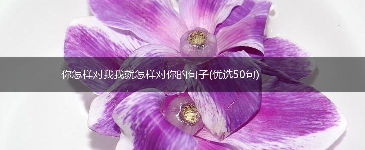 你怎样对我我就怎样对你的句子(优选50句),第1张