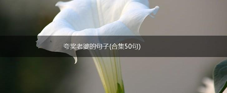 夸奖老婆的句子(合集50句),第1张