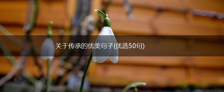 关于传承的优美句子(优选50句),第1张