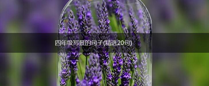 四年级写景的句子(精选20句),第1张