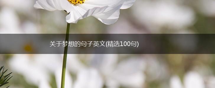 关于梦想的句子英文(精选100句),第1张