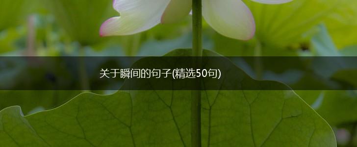 关于瞬间的句子(精选50句),第1张