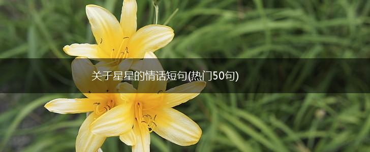 关于星星的情话短句(热门50句),第1张