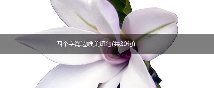 四个字海边唯美短句(共30句),第1张