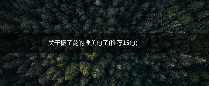 关于栀子花的唯美句子(推荐15句),第1张