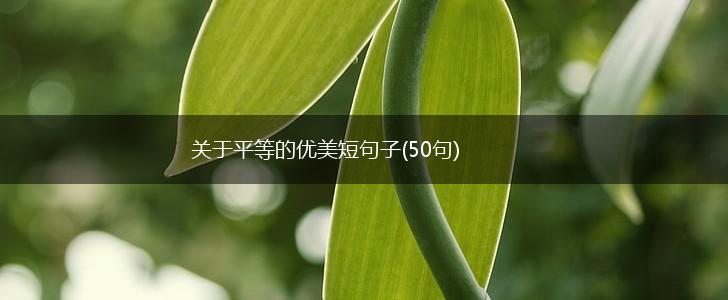 关于平等的优美短句子(50句),第1张