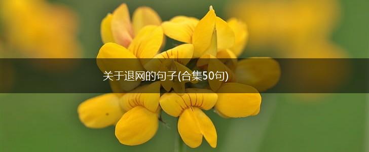 关于退网的句子(合集50句),第1张 关于退网的句子(合集50句),第1张