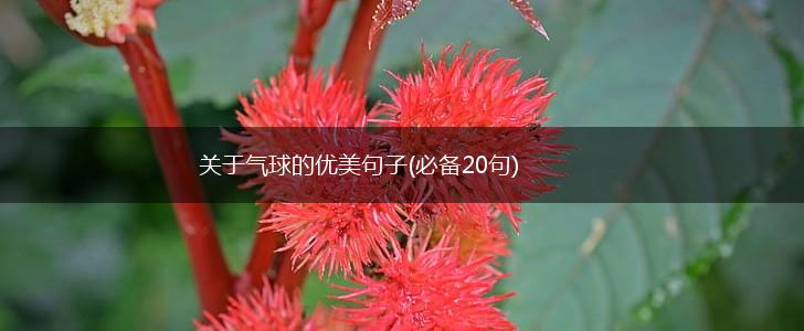 关于气球的优美句子(必备20句),第1张