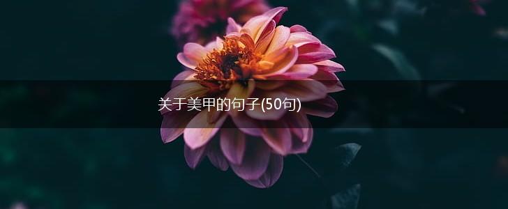 关于美甲的句子(50句),第1张