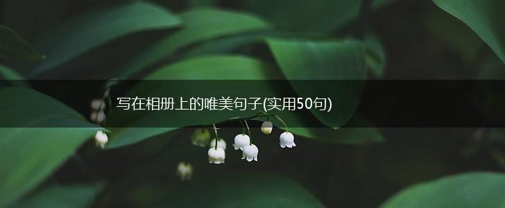 写在相册上的唯美句子(实用50句),第1张
