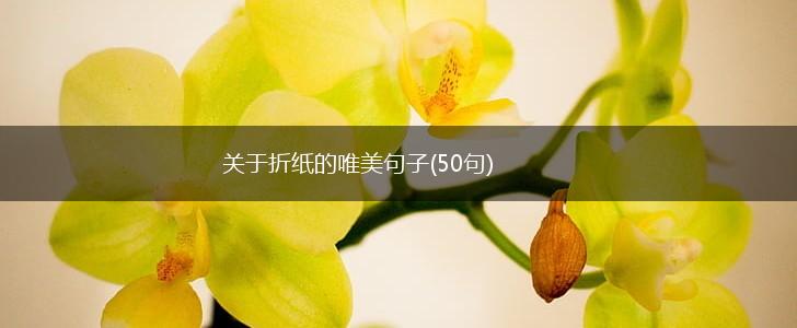 关于折纸的唯美句子(50句),第1张