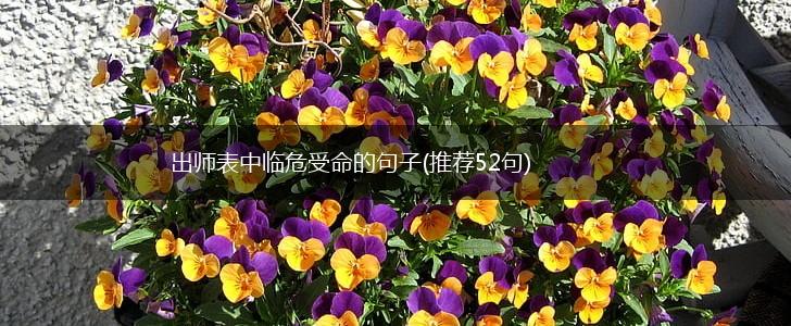 出师表中临危受命的句子(推荐52句),第1张
